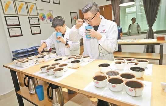 云南（國際）咖啡交易中心 成為國內(nèi)外咖啡重要交易平臺(tái)