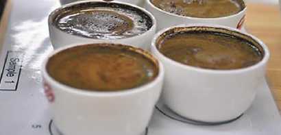 意大利那不勒斯咖啡師破世界紀錄