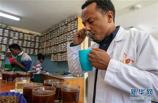 進(jìn)博會有助于埃塞咖啡開拓中國市場