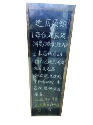 寵物主題咖啡店越開越多，監(jiān)管處于空白地