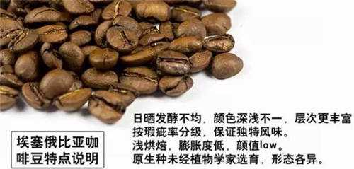 關于咖啡豆瑕疵豆那些事