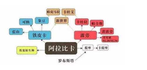 咖啡冷知識(shí)之鐵皮卡與波旁的風(fēng)味區(qū)別