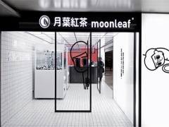 月葉紅茶加盟