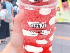 鮮動力Xpower加盟