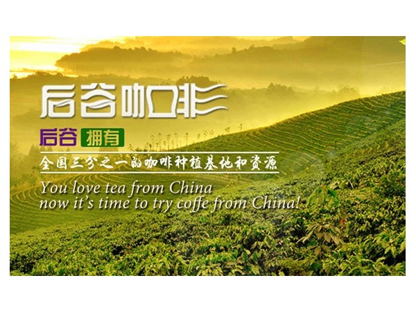 中國最大咖啡民企的成長之路