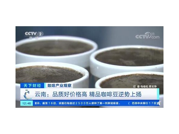 云南精品咖啡火了！咖啡豆價(jià)格翻番，云南咖啡品牌數(shù)量大增80%