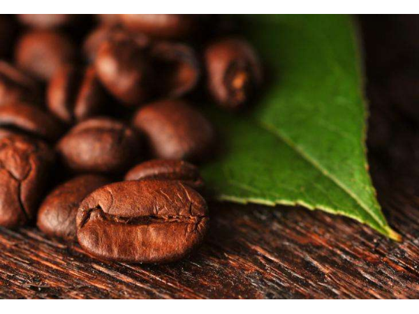 越南西原地區(qū)各省努力確保出口咖啡豆質(zhì)量