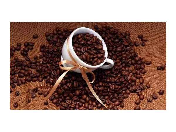 還有不到一周，海南咖啡就要發(fā)生一件大事