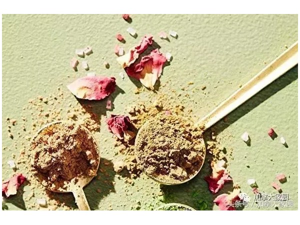 歷時(shí)三年，星巴克研發(fā)新品，今天加拿大全球首發(fā)！