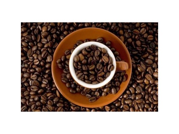 “云咖”加快推進(jìn)全產(chǎn)業(yè)鏈布局