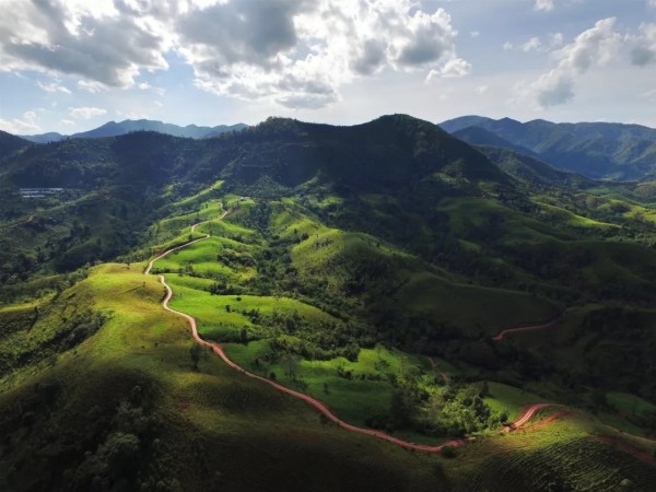 瑰夏并非巴拿馬獨(dú)有，中國云南同樣擁有