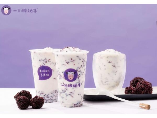 年開一家火爆的一只酸奶牛加盟店需要具備這