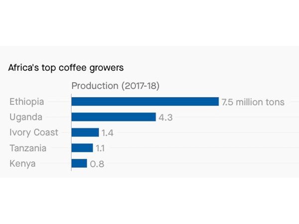東非最大咖啡連鎖店進(jìn)軍中國(guó)，從賣咖啡豆和茶葉開始