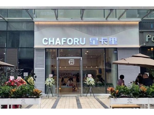 星卡里奶茶加盟條件及費用，初級創(chuàng)業(yè)者必看內(nèi)容