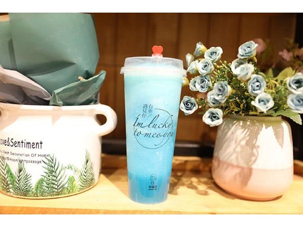 小確茶的加盟費是多少，小成本投入帶來福音
