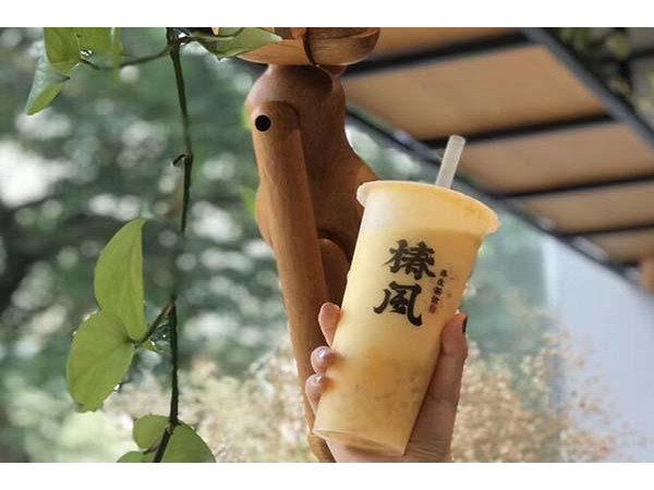 椿風(fēng)一般利潤(rùn)有多少，丨優(yōu)勢(shì)多多