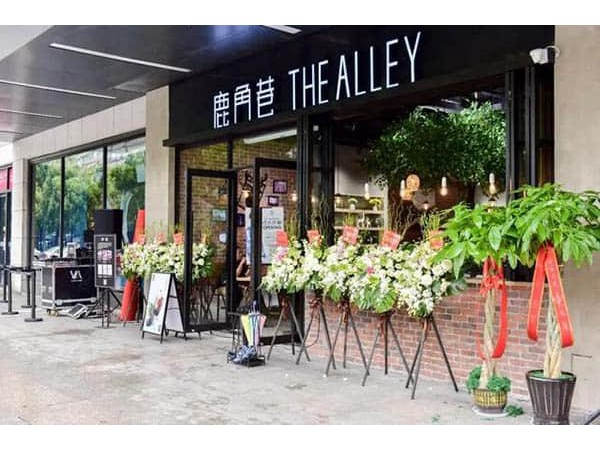 鹿角巷一年能賺多少錢(qián)，新晉奶茶品牌刷爆小紅書(shū)
