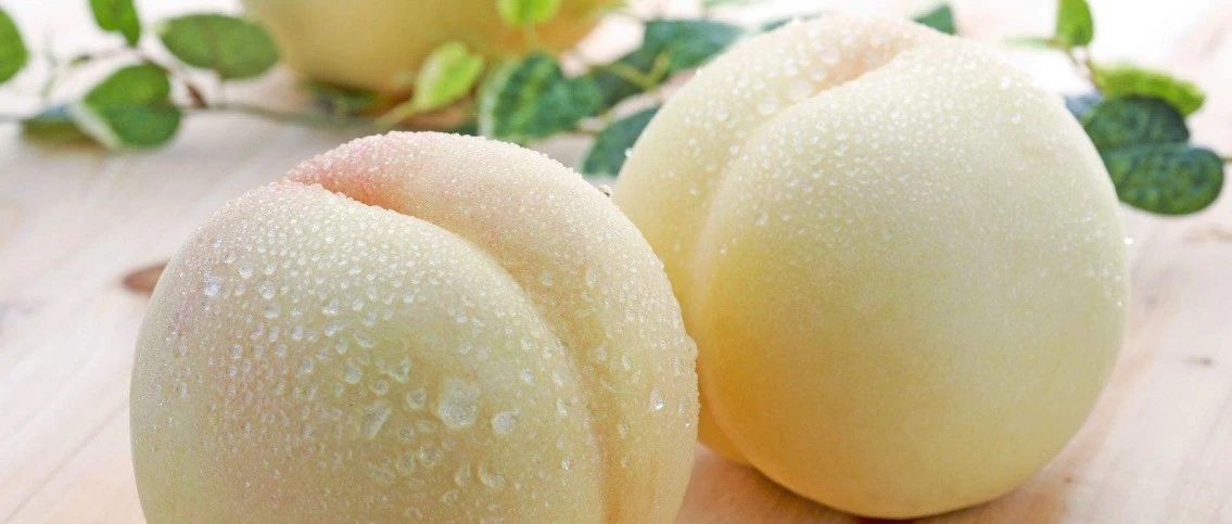 桃子類產(chǎn)品火了 什么桃更適合做茶飲？