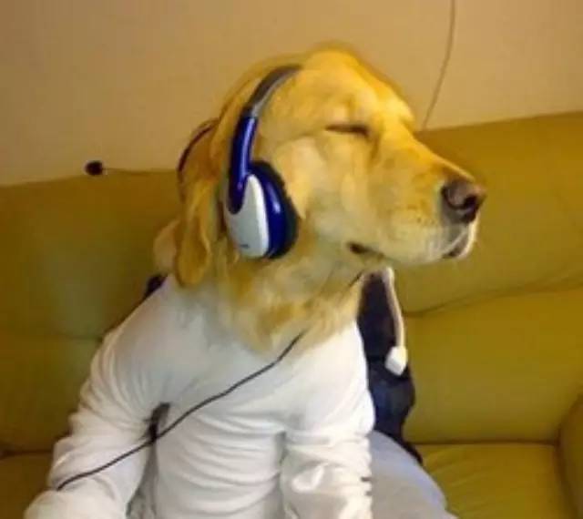 廣告宣傳靠自嗨，多少餐飲老板死于“高大上”！