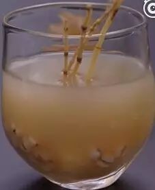 秋高氣燥，教你做一杯竹蔗馬蹄水