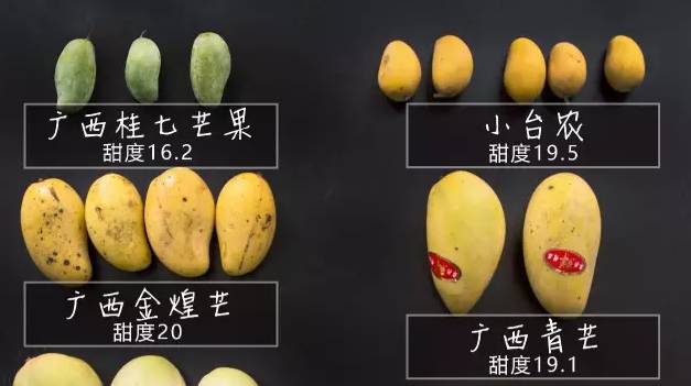 最全芒果測評： 個產(chǎn)地，個品種，告訴你哪種最好吃