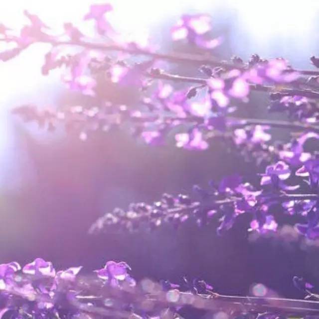 【潮飲】 個(gè)平凡元素匯聚，成就精華之作