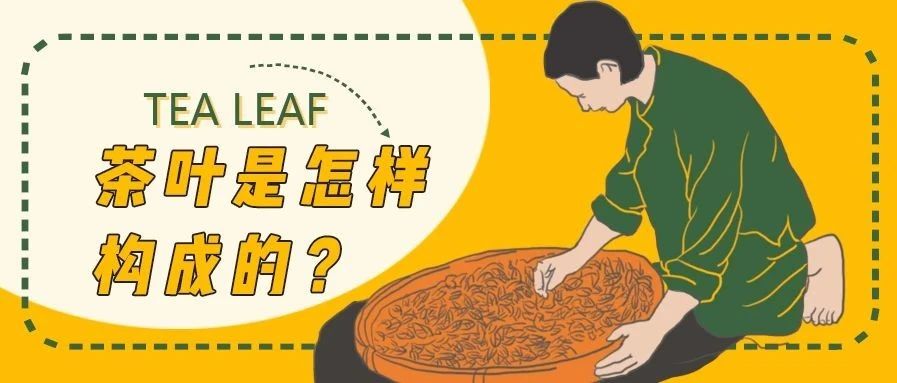 開了年奶茶店，茶葉是用什么做的，你知道嗎？