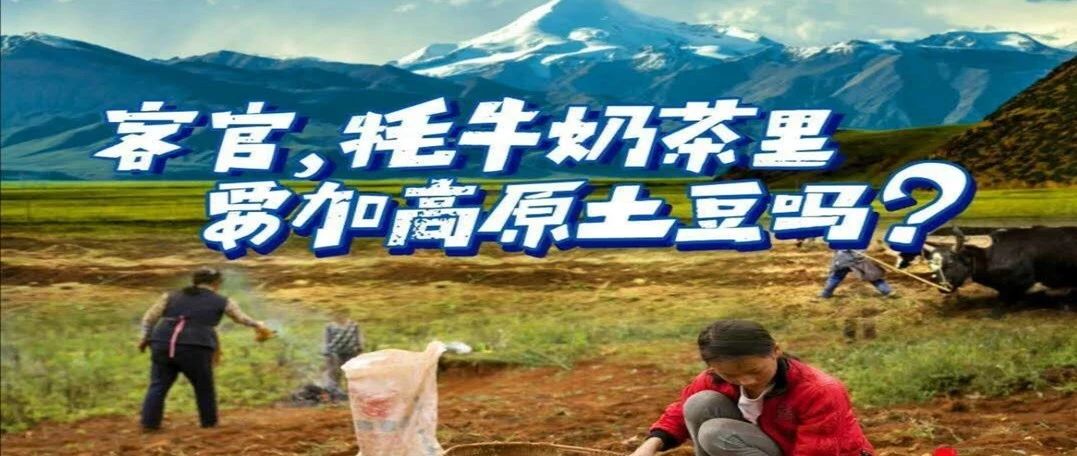牦牛土豆鮮奶茶 西藏茶飲界的創(chuàng)新 這次亮了！