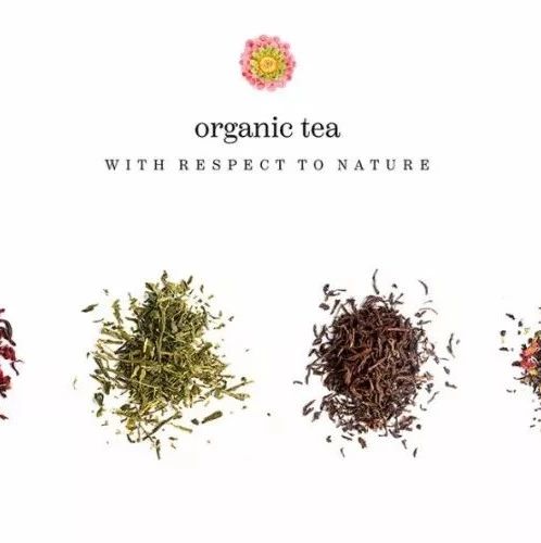 老茶，新包裝，總有一款撩動(dòng)你心！