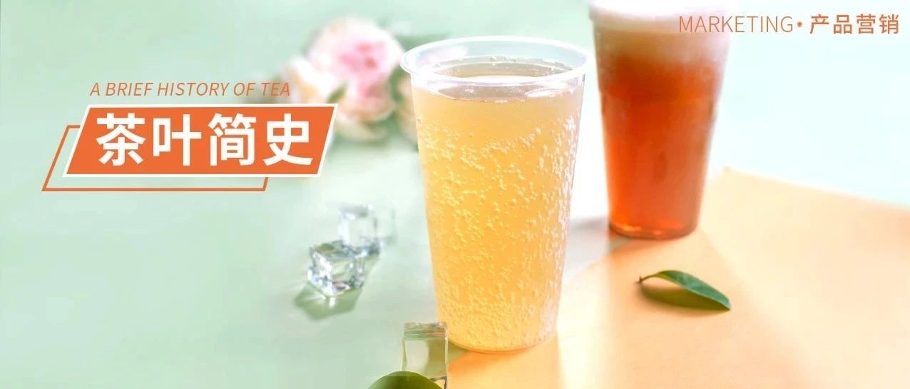 經(jīng)典回歸！可以喝的泡沫熱飲，成本只要塊左右