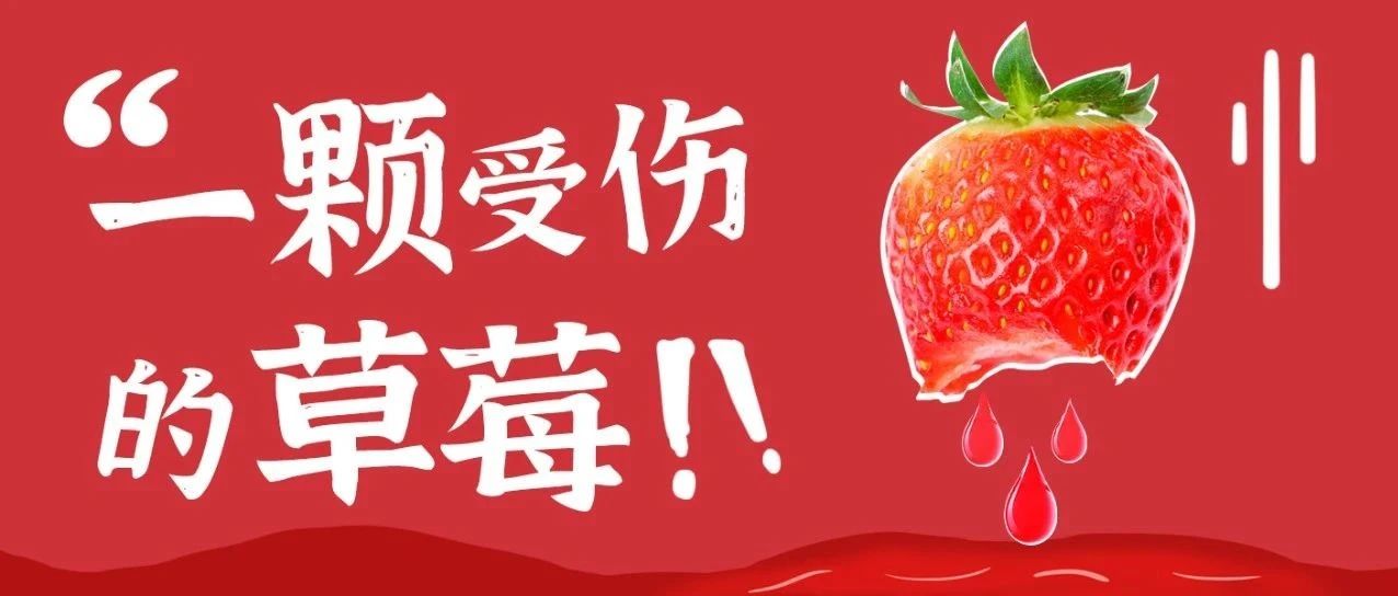 一顆受傷的草莓正在直播......