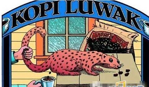 奇葩飲品第二彈，盤點(diǎn)那些讓你腦洞大開的飲品~