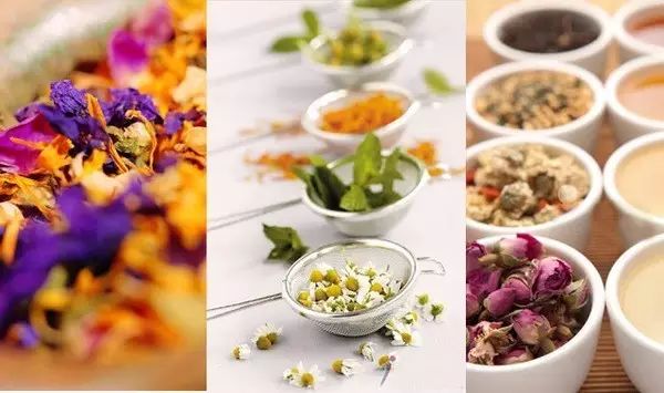 快收藏，超強(qiáng)的草本植物飲用分析