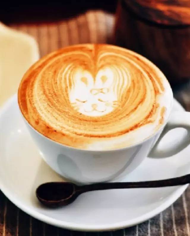 生產(chǎn)一杯好咖啡的關(guān)鍵點(diǎn)你get到多少？