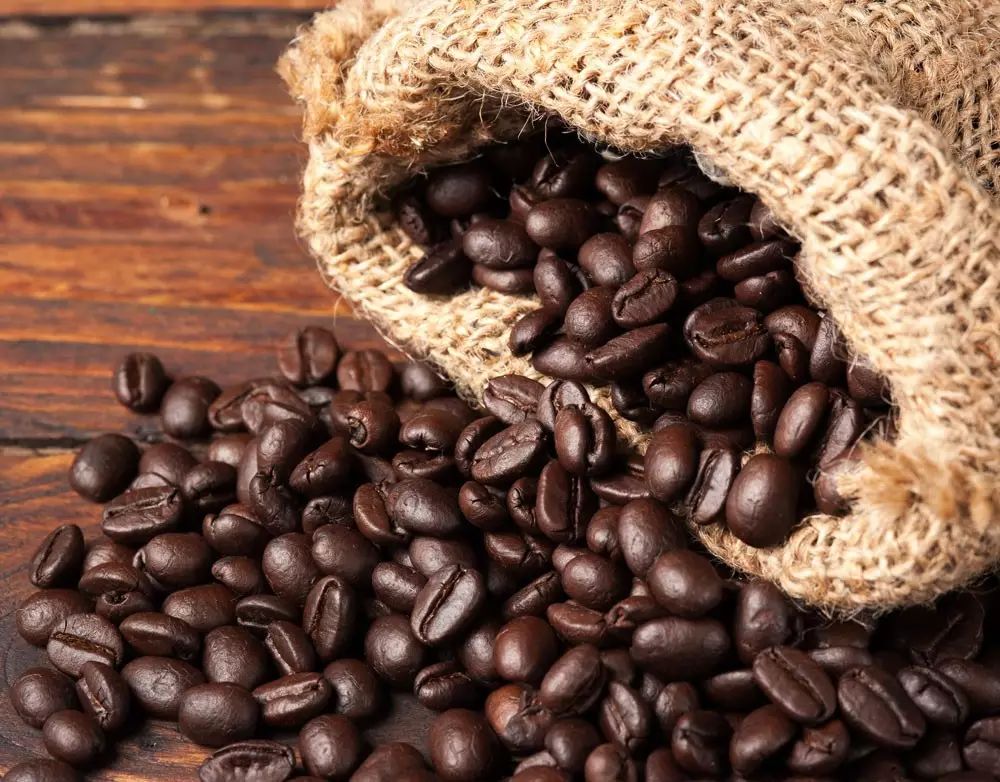 關(guān)于養(yǎng)豆，你不知道的那些事兒