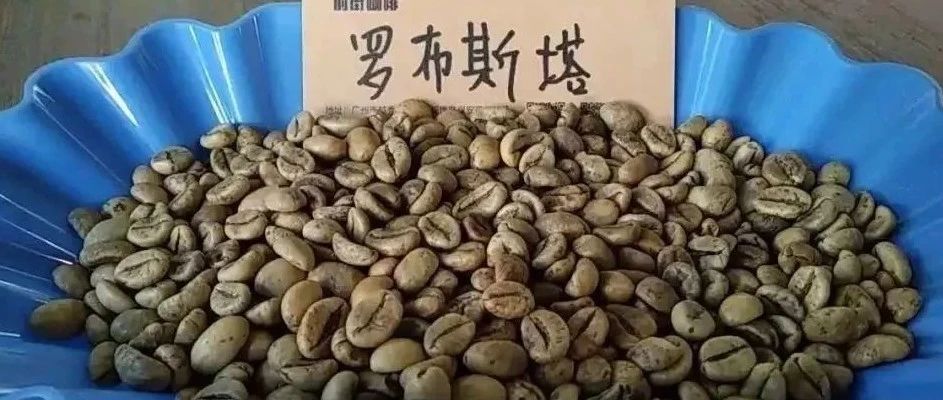 咖啡知識(shí) | 帶你深入了解羅布斯塔