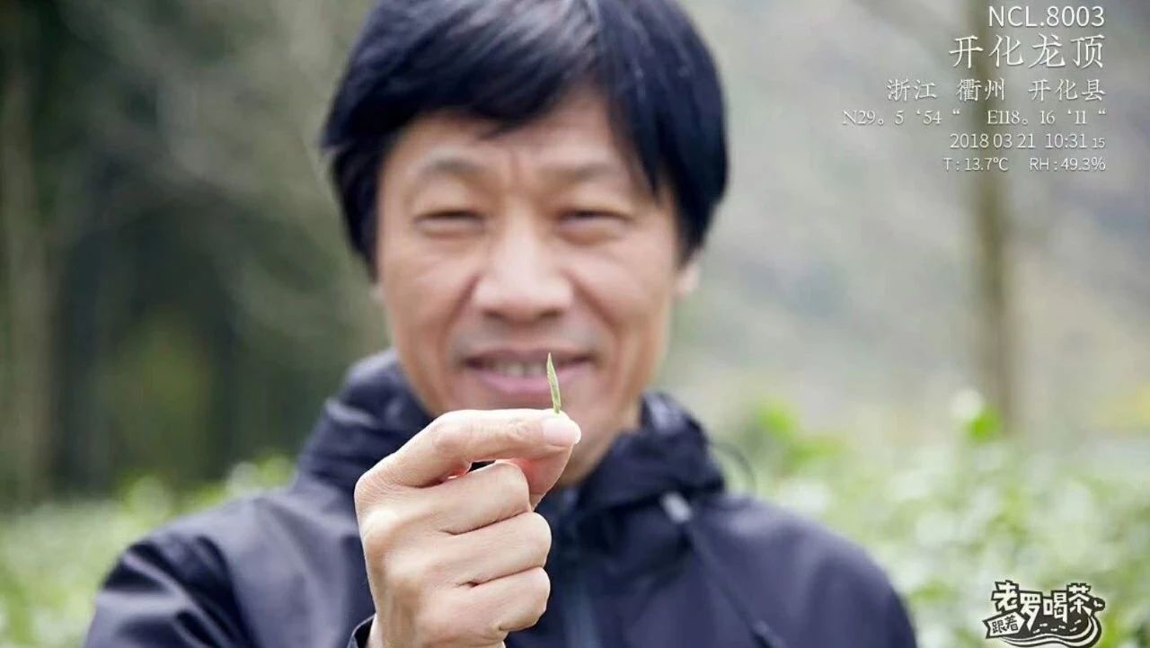 茶界勞模羅軍：我要一年給你 款茶！| 跟著老羅喝茶