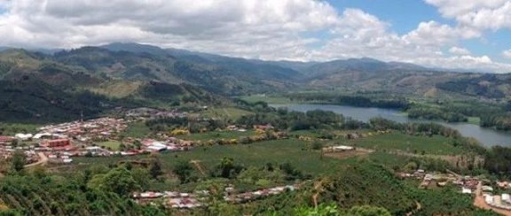 【前街尋豆手記】哥斯達黎加「厭氧日曬」專題