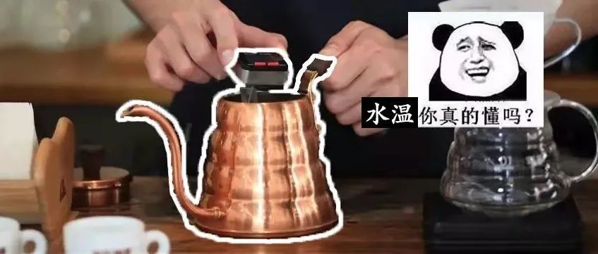 風味險中求，不摸透水溫就沖咖啡本身就是一場豪賭