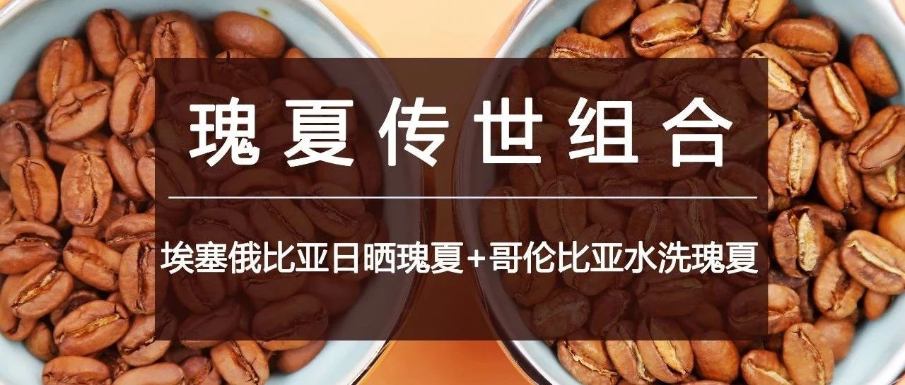 瑰夏咖啡組合特惠，啡常誘惑您別錯(cuò)過 :)