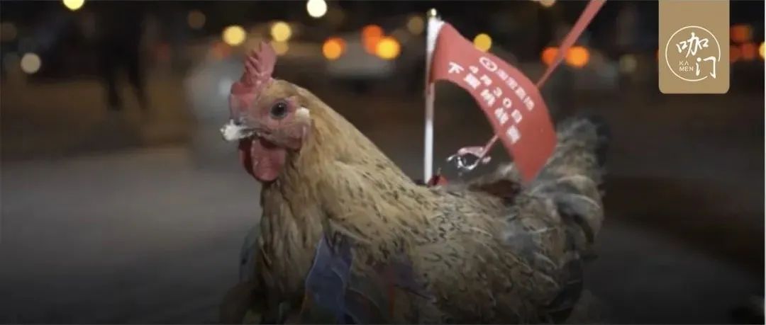連雞都派上場，這些店發(fā)傳單的姿勢也太絕了