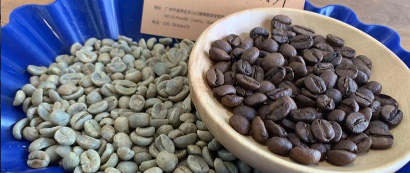 【前街尋豆手記】哥斯達黎加卡內特莊園音樂家系列——肖邦