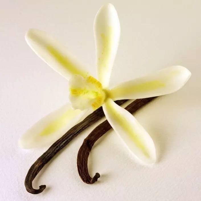點(diǎn)擊下方導(dǎo)航【互動(dòng)社區(qū)】，參與全國(guó)飲品人互動(dòng)討論
