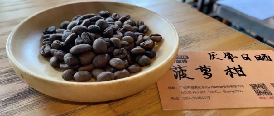 【前街尋豆手記】耶加雪菲厭氧日曬菠蘿柑專題