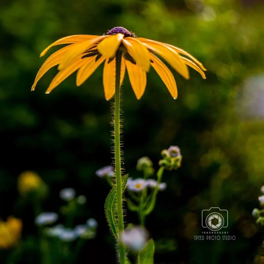 和夏天談一場(chǎng)甜蜜的戀愛(ài)！