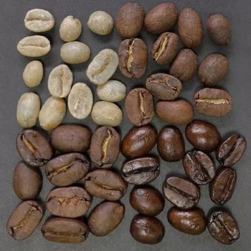 咖啡烘焙真的很難入門？先來了解烘豆的基礎(chǔ)觀念！