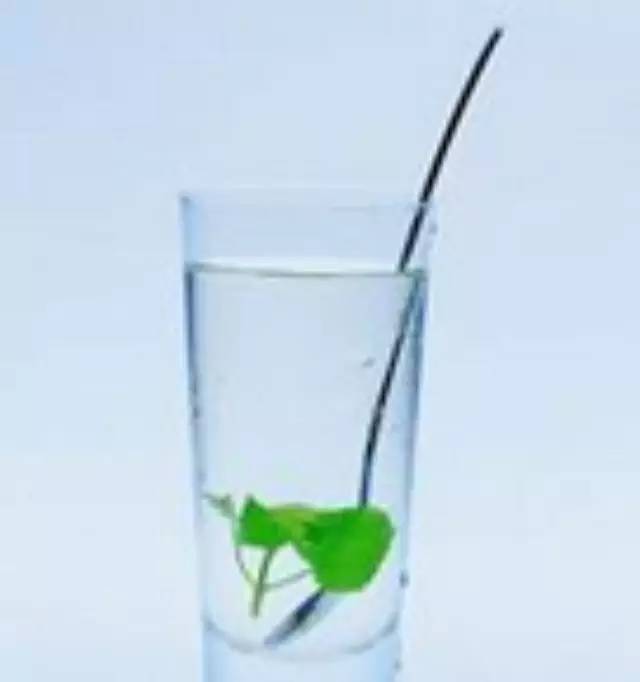 世界特調(diào)冠軍向你講解如何制作一杯完美的茶飲品？