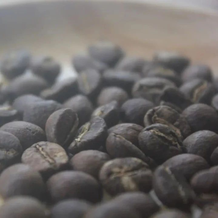 前街咖啡尋豆記 | 肯尼亞穆蘭卡可瑞安莊園