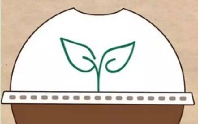 “頭上長草”很火，星巴克早就借勢營銷了