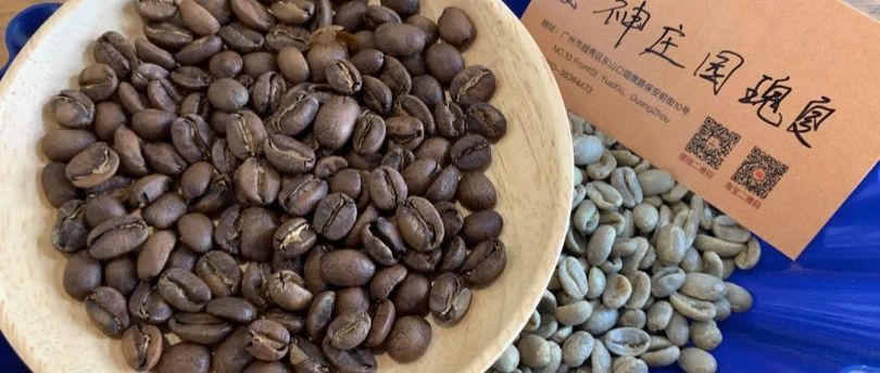 【前街尋豆手記】哥斯達黎加 多塔 女神莊園 瑰夏 專題